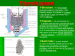 15. thyroid2010-10-01 03:41779 KB