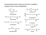 Nonstandard amino acids are found in modified proteins