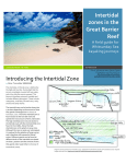 Intertidal Zone Field Guide