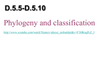 D.5.5-D.10 Cladograms and phylogeny