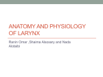 ENT10-Anat+Physl of Larynx