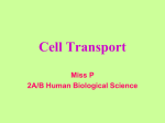 Cell Transport PPT 2 File
