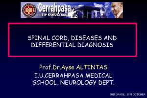 Complete spinal cord syndrome