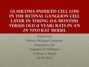 Glaucoma-Induced Cell Loss in the Retinal Ganglion Cell Layer in