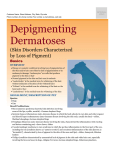depigmenting_dermatoses