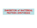 INHIBITOR of BACTERIAL PROTEIN SYNTHESIS