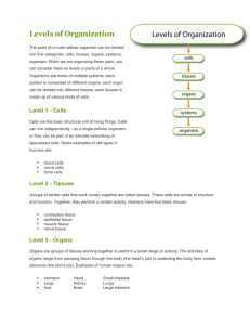 levels of organization directed reading