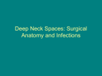 Deep Neck Spaces