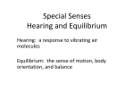 Hearing and Equilibrium - Liberty Hill High School