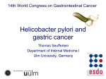 Helicobacter pylori and cancer