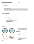 Blood Typing Guided Notes