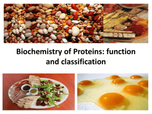 02_Classification and functions of simple and complex proteins