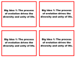 Big idea cards Concept Map