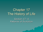 17-4 Patterns of Evolution