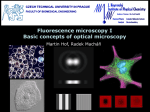 Microscopy Basics