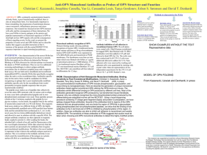 Anti-OPN Monoclonal Antibodies as Probes of OPN Structure and