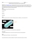 Natural Selection antibiotic resistance online lab