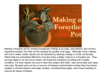 Making a Forsythe Pot - University of Minnesota Extension