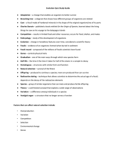 Evolution Quiz Study Guide