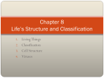 Chapter 8 Life`s Structure and Classification