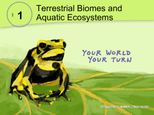 Terrestrial Biomes and Aquatic Ecosystems