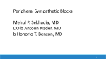 lumbar sympathetic blocks