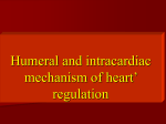 26 Humeral and intracardiac mechanism of heart` regulation