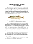 The Case of the Threespine Stickleback 3