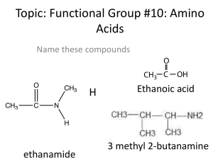 Topic: Functional Group #10: Amino Acids