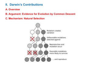 Darwin II