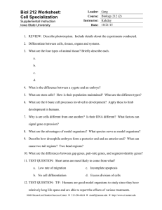 Biol 212 Worksheet: Cell Specialization