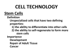 CELL TECHNOLOGY Stem Cells Definition Unspecialized cells that