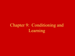 Chapter 9: Conditioning and Learning