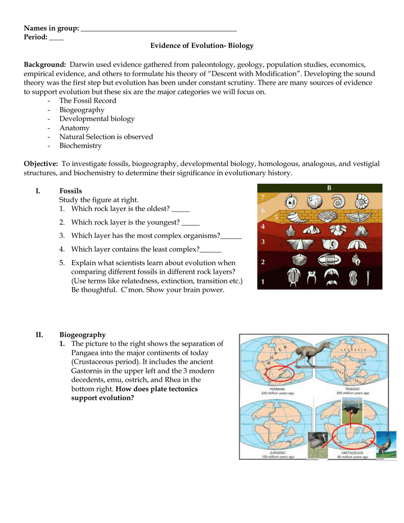 Evidence of Evolution Packet Regarding Evidence Of Evolution Worksheet Answers