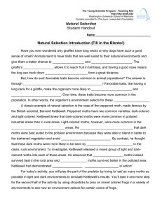 Natural Selection Student Handout