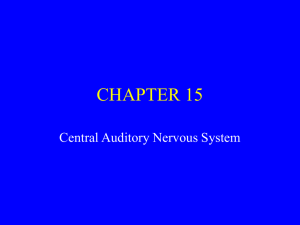 Neurophysiology