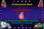 14-Coronary Circulation