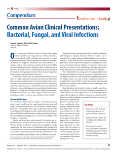 Bacterial, Fungal, and Viral Infections