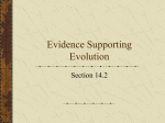 Evidence Supporting Evolution
