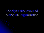 Analyze the levels of biological organization