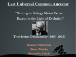 Last Universal Common Ancestor