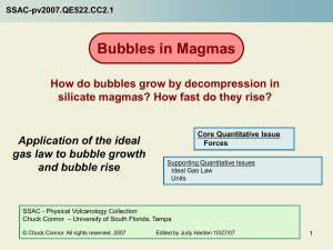 Bubbles in Magmas