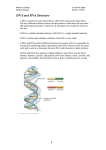 Comparison of DNA and RNA