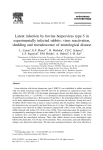 Latent infection by bovine herpesvirus type-5 in