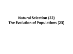 Natural Selection (22) The Evolution of Populations (23)