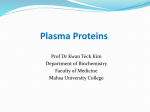 Plasma Proteins - neutralposture