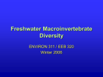 Freshwater Macroinvertebrate Diversity