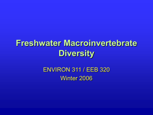 Freshwater Macroinvertebrate Diversity