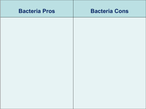 Bacteria and Archaea (ch 27) Campbell PPT