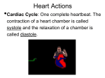 Ch 13 Cardiac Cycle